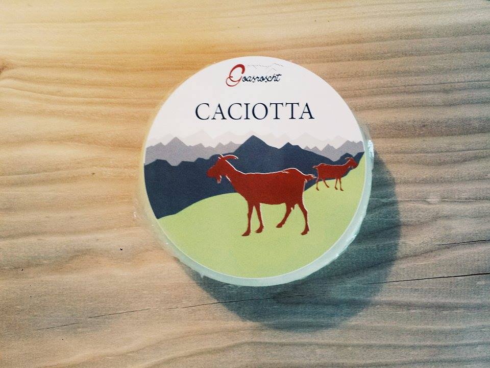 Caciotta