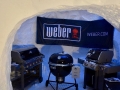 WeberIgloo